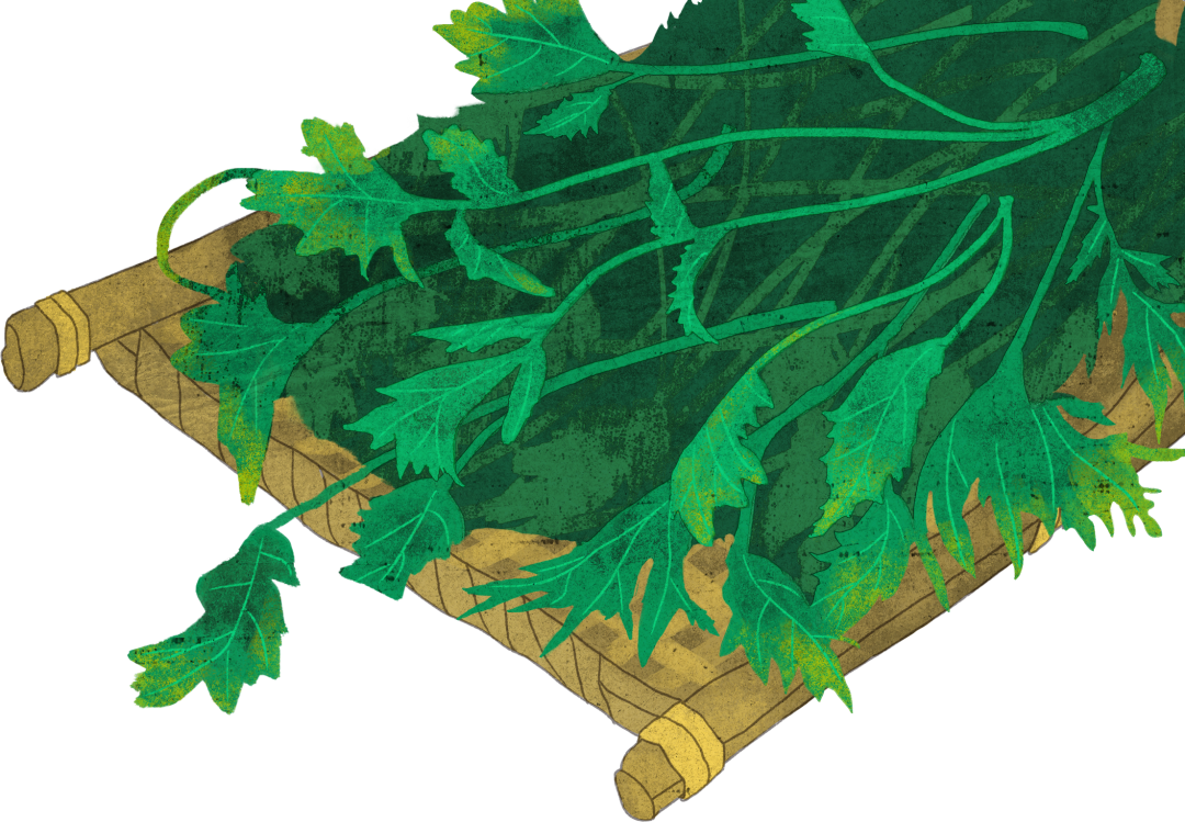 640 (6).png