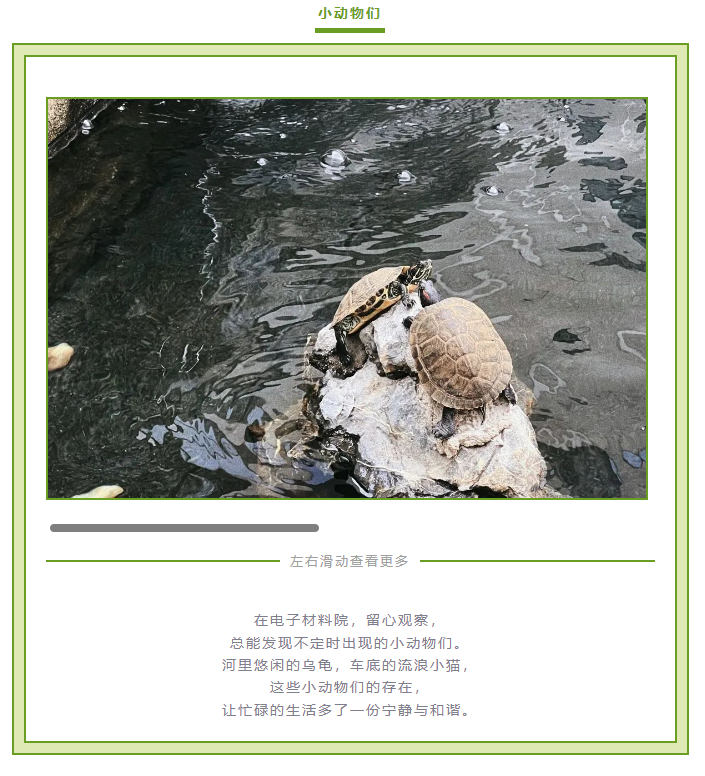 微信图片_20240723103557.png