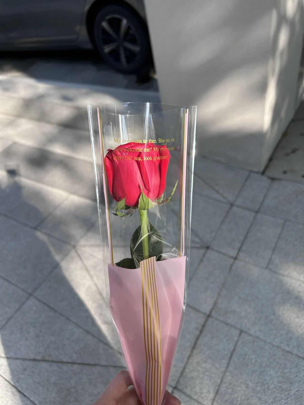 d72337c2-6205-48dd-b144-b8c5276bfd6a.jpg d72337c2-6205-48dd-b144-b8c5276bfd6a.jpg